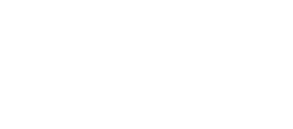 Toveri