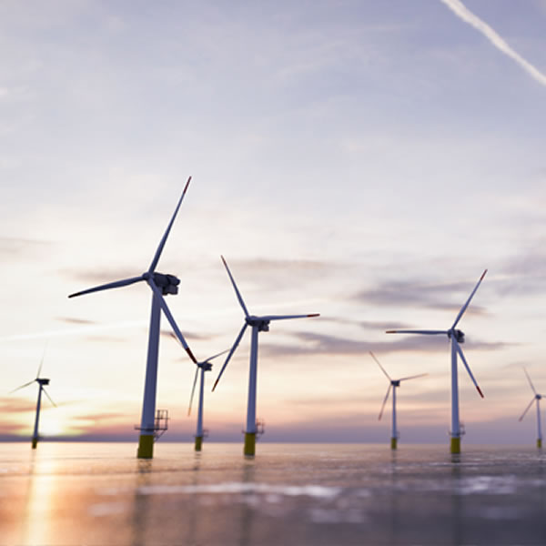 Renewable Energy - Toveri